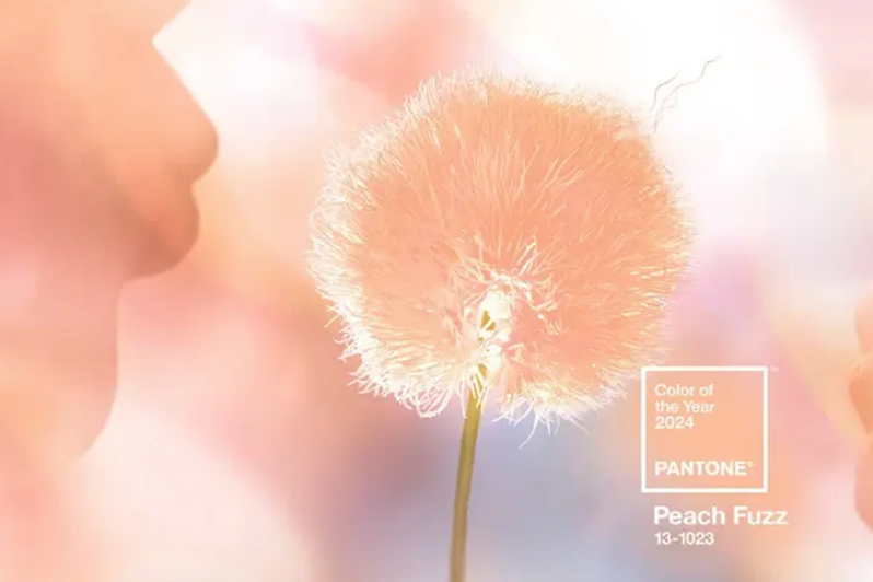 Pantone 2024年度顏色：新的一年，新的趨勢(shì)