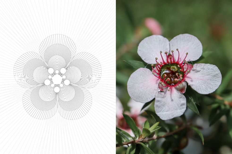 蜂蜜包裝設(shè)計 蜂蜜包裝設(shè)計